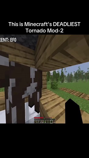 Minecraft's Deadliest Tornado Mod-2