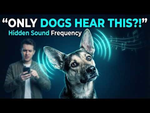 A Song Humans Couldn’t Hear — But Dogs Could