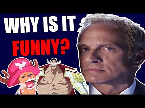 How "The One Piece Is Real" Broke Our Sense of Humor