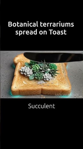 Botanical Terrariums Spread on Toast 🌿✨ | Calm & Satisfying ASMR Macro