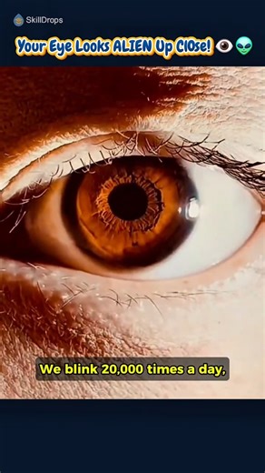 Inside the Human Eye: Macro Zoom into the Iris! 👁️🔬 #Anatomy #Science #Biology #Video #Shorts #Fact
