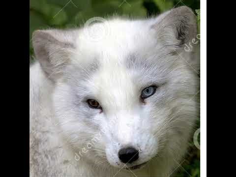 Live craps, crapsee, casino reports 10-9-25