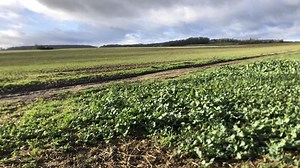 Surcoût, motifs de congé… les avantages et inconvénients du bail à long terme