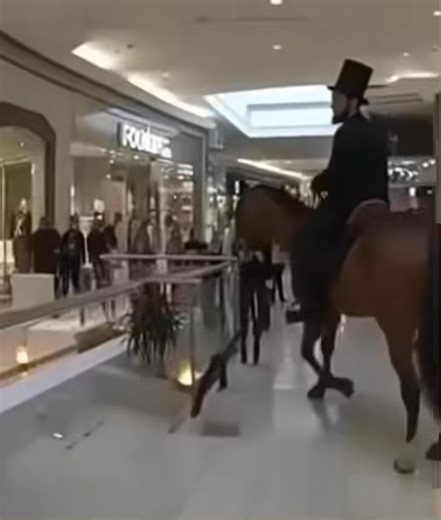 This man took his donkey IN THE MALL?! 😳 Free pony rides anyone? | Wild Bodycam Footage
