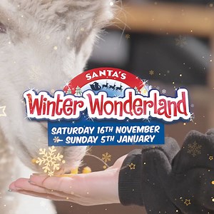 The ULTIMATE Christmas experience returns to the SnowDome for 2024!🎄🎅❄️ | SnowDome