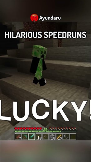 I Found The Funniest FAKE Minecraft Speedrun…