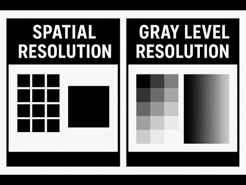 Understanding Spatial and Gray Level Resolution in Digital Images