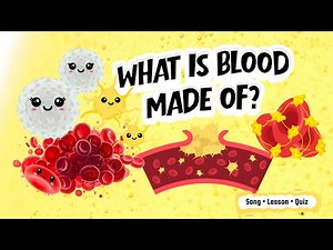 Your Blood Is A Super Team (And Here’s Why) 🩸 | Circulatory System Song, Lesson & Quiz for Kids
