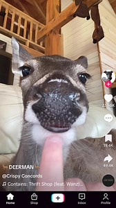 Cheeky is BACK! Join thousands who've switched to Cheeky's moisturizing body soap. Made with natural ingredients that work with your skin, not against it. 💧Leaves skin soft and hydrated 🧴 Restores Moisture with shea butter & jojoba oil ✨ Eliminates post-shower itch 🌿 All-natural ingredients ✅ Feel the difference or money back | Cheeky Soap