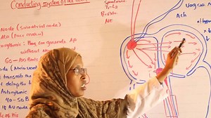 29K views · 738 reactions | PSU Virtual Class Programs; Topic: Conduction System of the Heart YouTube Link: https://youtu.be/sfkmqtZrzIg Lecturer: Dr. Fatima Sheikh Ali Faculty of Health Sciences Puntland State University https://psu.edu.so | Puntland State University | Facebook