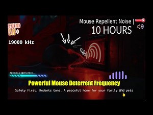 Ultrasonic Anti Pest Sound 10H | Repel Rodents Safely 🐭🔇 | 10-Hour Family-Friendly Audio