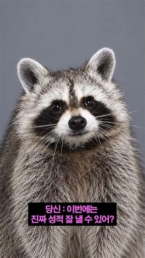 Guess who’s back in the zone? It’s Crazy Raccoon! [PUBG] [PUBG]
