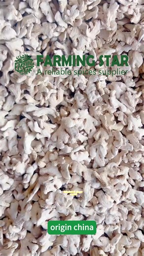 🌿 Dehydrated Ginger for Export 🌿 High-quality dehydrated ginger made from fresh Chinese ginger — strong aroma, pure flavor, and perfect moisture control. ✔️ 100% Natural ✔️ Clean, uniform size ✔️ Ideal for spice blends, tea, and food processing 📦 Ready for shipment from China! 📲 WhatsApp(click the link): https://wa.me/8613325122081 📧 Email: sales2@farmingstar.com 🌐 Website: www.farmingstar.com — Bruce, Chinese spice & vegetable exporter #DehydratedGinger #GingerSlices #ChinaExport #Farming