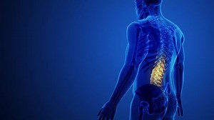 3d Medical Lower Back Pain Stock Footage Video (100% Royalty-free) 3481639189 | Shutterstock