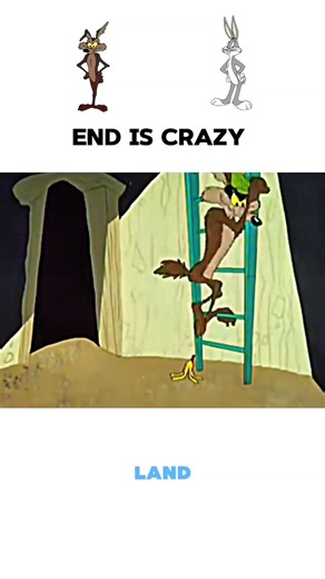 Coyote vs Bunny Funny