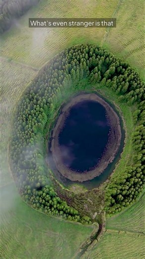 The Most Fascinating Facts & Records in the World 🌍 #GlobalFacts #Trending #Facts #Motivation #tops