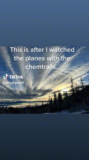 Amy Green (@amygreen.09)’s videos with original sound - Amy Green