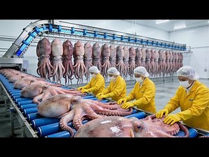 Inside a Gourmet Octopus Factory: How Raw Tentacles Become Seafood Giant Octopus! (Full Process)