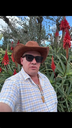 Fernando Reeves-Ramirez (@fernando.reevesra)’s videos with A Rosa e a Abelha - DJ Java