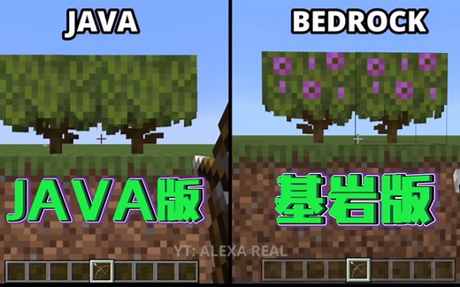 【我的世界】版本对比