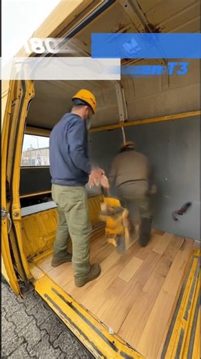 A Volkswagen T3 for ONLY 1.999€ ? Watch the transformation and see the potential #campervan #t3 #vw