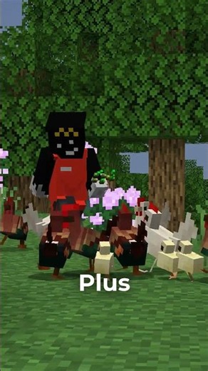 birds and penguins update