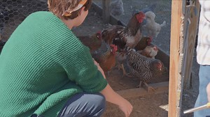 We bought a farm, now what? There have been some good ideas and a couple of questionable ones. Decisions have to be made. Where do we head from here? #GrowingAmerica #wearegrowingamerica #Ag #farm #farmer #farmlife #agriculture | Growing America