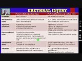 Urethral Injury - Trauma Surgery • Video • MEDtube.net