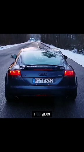 absolutelyaudi on TikTok