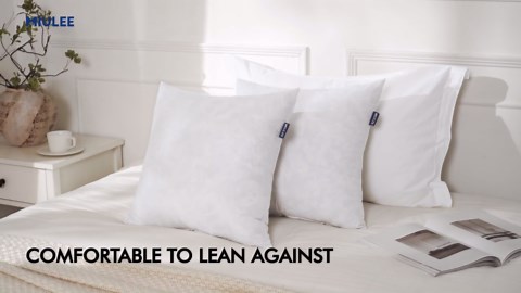 MIULEE Euro Pillow Inserts 26x26 Inch Set of 2, Feather Mix Polycotton with Cotton Fabric Square Decorative Throw Pillows for Couch Bed Sofa