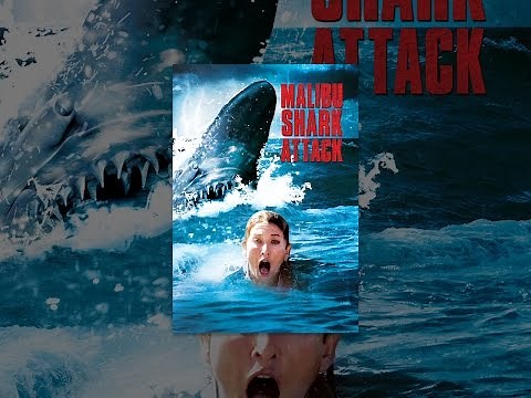 Malibu Shark Attack