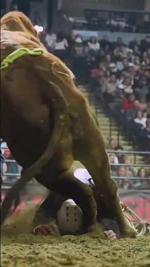 HEAD ON A SWIVEL! This weeks Cinch WreckFest Rodeo Wreck of the Week is a BIG ONE