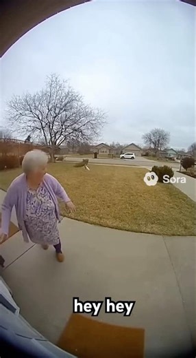 “Eagle picks up dog from front yard.” 🐕 🦅