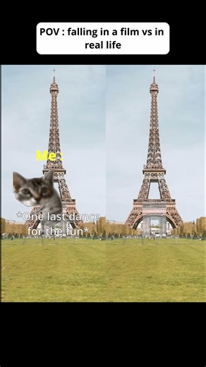 CAT MEMES 😺POV : Falling in a film vs in real life #catmemes #relatable #shorts