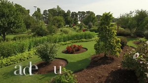 29K views · 221 reactions | Blue Bank Resort Butterfly Festival 曆 NEXT WEEKEND!! LIVE SHOW BY: Animalogy at 2:00, Pop Up Shopping All day Sat., Guest Speaker Dr. David Sloas on Sat., Garden Tours, Boat Tours at: 1:20 & Butterfly Release Sunday Morning! Weekend Passes & Day Passes Available. Pop Up Shopping & Live Interactive Animal Show Open to the public - Sat. 813 Lake Drive Hornbeak, TN - 1-877-BLUEBANK | Blue Bank Fish House & Grill | Facebook