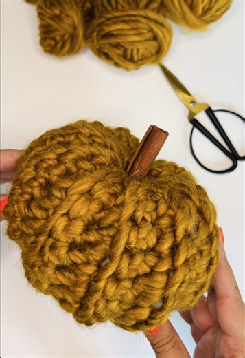 Jolly Lizard on TikTok