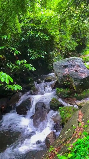 Instant Calm: Relaxing River Flow ASMR ✨