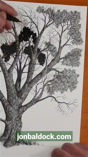 Drawing Tree Leaves simply for the beginner