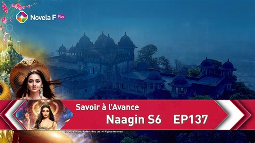 🐍NaaginS6_EP 137 Ce soir à 𝐚̀ 𝟏𝟖𝐡𝟑𝟎 GMT en exclusivité sur 𝐒𝐭𝐚𝐫𝐓𝐢𝐦𝐞𝐬 𝐍𝐨𝐯𝐞𝐥𝐚 𝐅 𝐏𝐥𝐮𝐬 (𝐃𝐓𝐇-𝟔𝟏𝟓/ 𝐃𝐓𝐓-𝟔𝟒) Votre série est également disponible sur l’application StarTimesON. 📢𝐋𝐚 𝐏𝐑𝐎𝐌𝐎 𝐜𝐨𝐧𝐭𝐢𝐧𝐮𝐞 𝐜𝐡𝐞𝐳 𝐒𝐭𝐚𝐫𝐓𝐢𝐦𝐞𝐬 𝐣𝐮𝐬𝐪𝐮'𝐚𝐮 𝟑𝟎 𝐚𝐯𝐫𝐢𝐥 | StarTimes