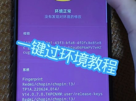 阿尔法一键隐藏且一键安装好检测软件