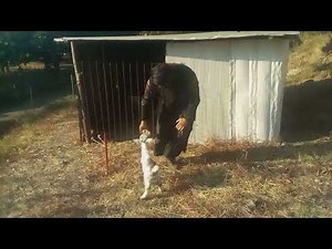 ΘΑ ΓΛΥΦΕΤΕ ΤΟ ΣΑΚΟΥΛΑΚΙ