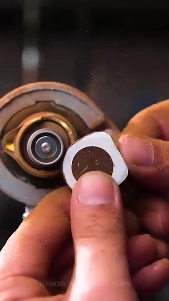 ¡Un anillo elegante hecho de un coco! | Ideas en 5 minutos