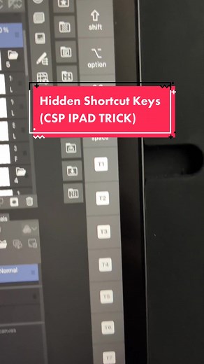 Hidden Shortcut Keys in Clip Studio Paint for iPad
