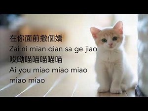 MEOW MEOW SONG WITH LYRICS!🤩