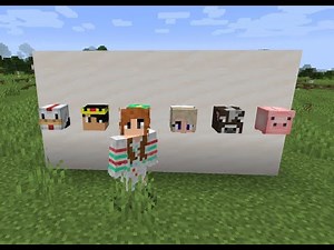 How to get Player and Custom Heads in Minecraft 1.16!