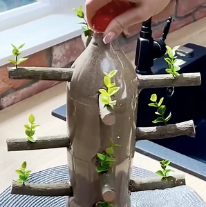 229K views · 768 reactions | Growing a tree inside a plastic bottle | 5-Minute Crafts Men | Facebook
