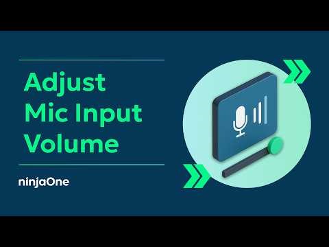 Change the Sound Input Device Volume Level in Windows 11