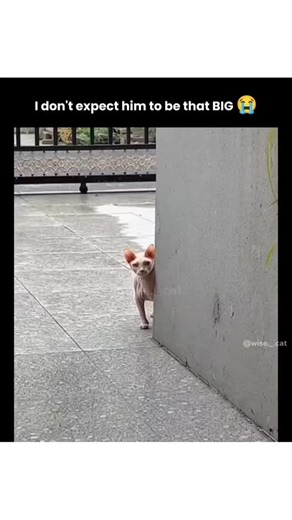 Gambling Is Fun on Instagram: ""when you finally realize you're the main character in your own life...and it's a plot twist 🤯💥 you've been playing the supporting role for so long, but now it's time to take center stage 🎭💃 own it, slay it, and make your life a bestseller 📚💖 you're the director, writer, and star of your own movie 🎬✨ so go ahead, rewrite the script, add some drama, and make it a blockbuster 💥👏 break the fourth wall, get your props, and slay the game 🎮💪 your life is the h