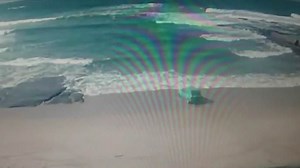 Man drove car into the sea for a dare