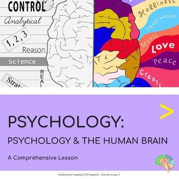 Psychology & The Human Brain Worksheets & Activities | A Comprehensive Lesson